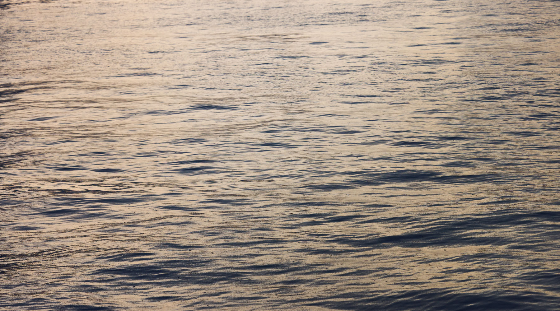 夕暮れ色の海の様子