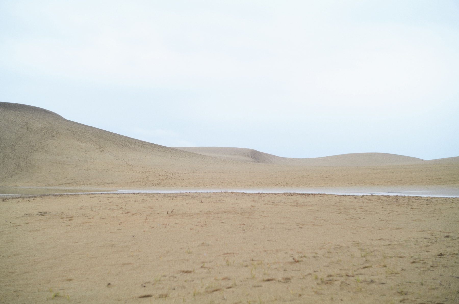 日中の砂漠の画像